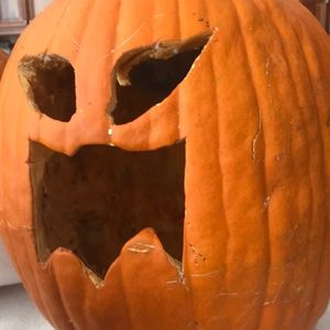 Meet your Posher, Tracey